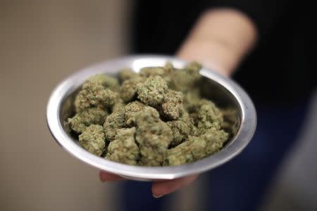 A woman holds marijuana for sale at the MedMen store in West Hollywood, California U.S. January 2, 2018. REUTERS/Lucy Nicholson