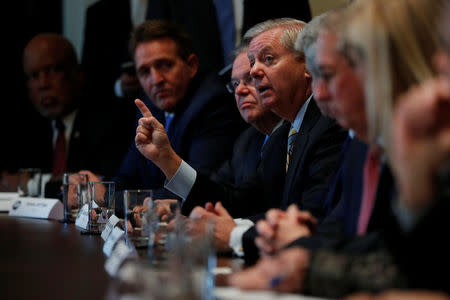 U.S. Senator Lindsey Graham (R-SC) speaks as President Donald Trump holds a bipartisan meeting with legislators on immigration reform at the White House in Washington, U.S. January 9, 2018. REUTERS/Jonathan Ernst