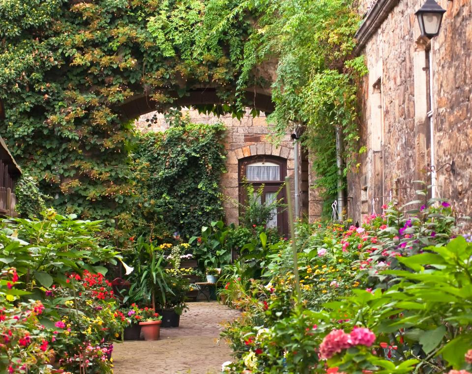 IM GARTEN FÜR DIE NATUR