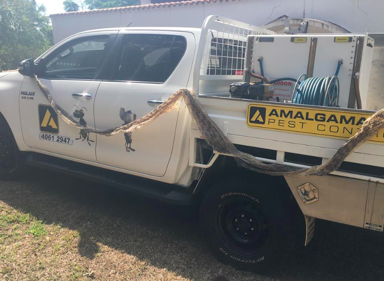 Innisfail pest controller finds giant snake skin in roof