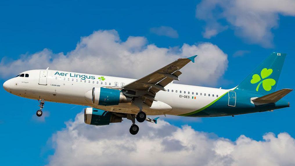 An Aer Lingus plane in flight. A bright blue sky and white clouds can be seen in the background.