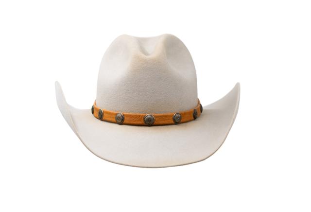 Lainey Wilson - Hat  Cowgirl hats, Cowgirl, Hats