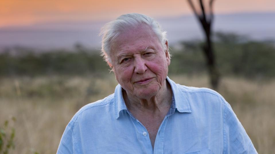 David Attenborough, Silverback