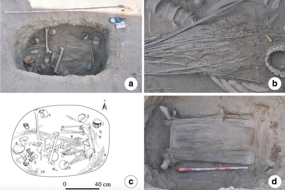 Jiayi's tomb, M231 (a). A close-up of the <i>Cannabis</i> in the grave (b). A line drawing showing the grave's contents, including intact earthenware pots (1 to 4); broken earthenware pots (5 to 7), <i>Cannabis</i> plants (8); pillow fragments (9); and wild grasses (10) (c). The lower layer of the tomb has a wooden bed frame and reed pillow (d). <cite>Hongen Jiang et al. Economic Botany. 2016. </cite>