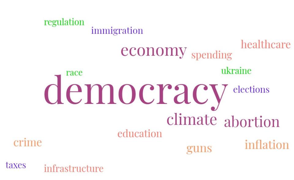 A word cloud based on what Independent voters told us in our Main Street Agenda survey concerns them the most.