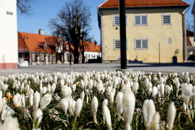 FILE PHOTO: Flowers are seen in the empty main square during coronavirus disease (COVID-19) outbreak in Kuressaare