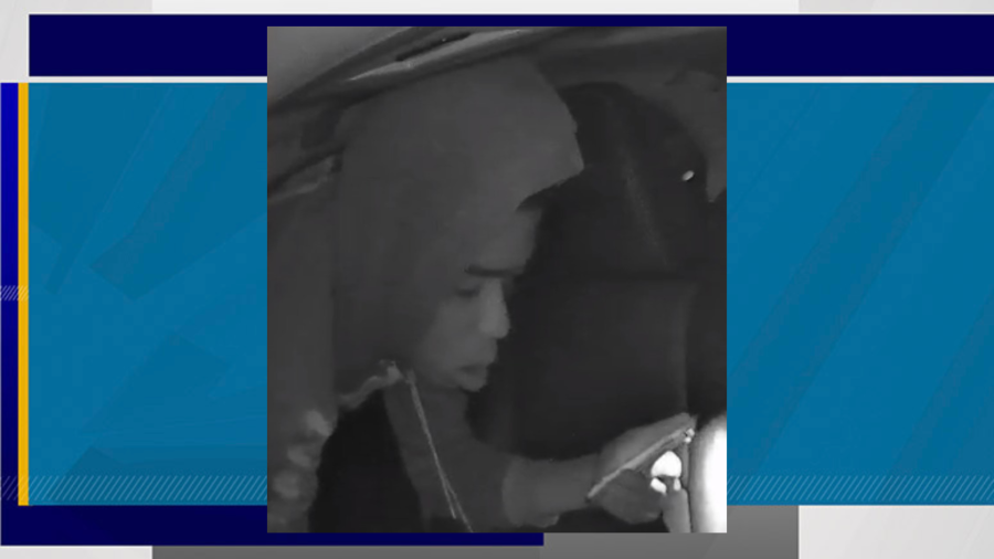 Metro police search for a suspect accused of burglarizing a vehicle near Charleston Boulevard and Fort Apache Road on Aug. 11, 2023 (LVMPD)