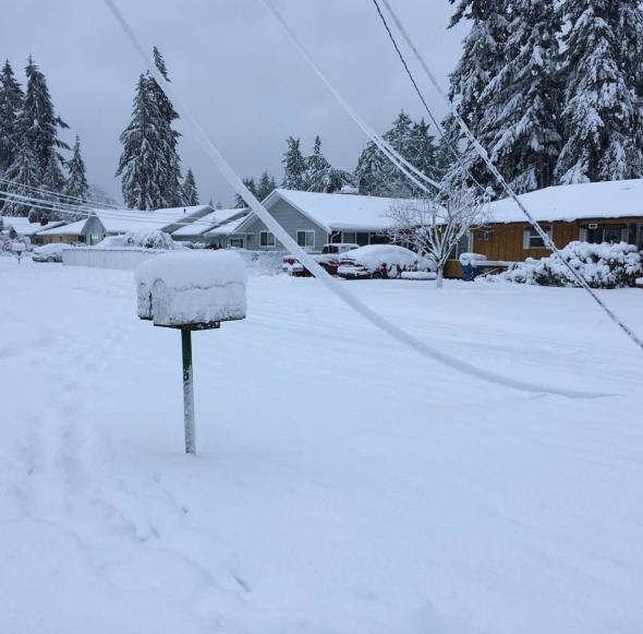 Snow in Thurston County, Washington - 2/9/2019