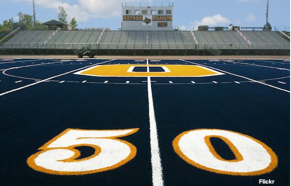 Michigan school's blue turf field may cost Detroit Lions executive