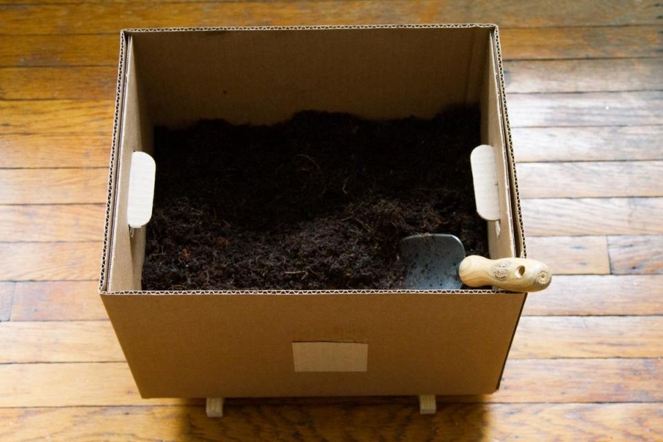 Banker's box filled with soil, with a shovel in the corner. 