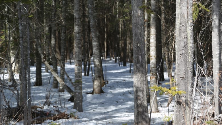 The secret path: Bringing back a nearly forgotten ancient portage trail