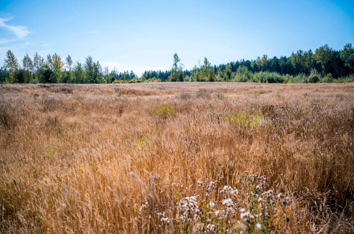 A view of a vacant field in Roy, Wash. that falls within a six-mile diameter where the next major airport in the Puget Sound could be built in Pierce County, on Sept. 21, 2022.
