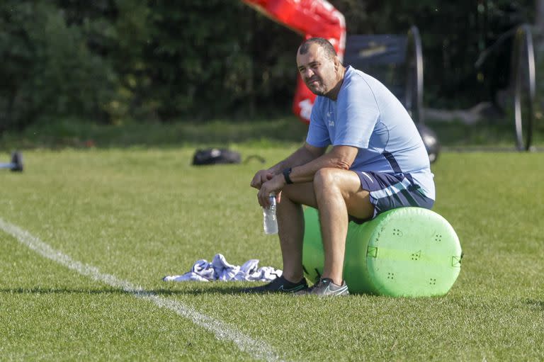 Michael Cheika, ante el desafío de recuperar a los Pumas