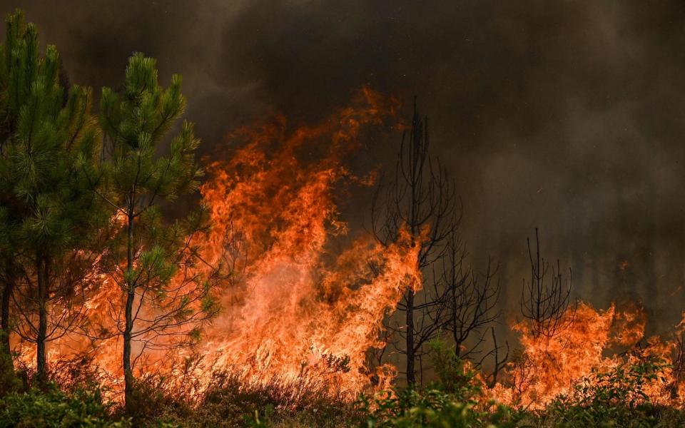 Fire, Gironde region, France - Philippe Lopez/AFP via Getty Images