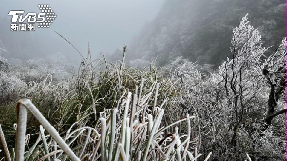 山區出現霧淞彷彿雲霧繚繞。（圖／民眾授權提供）