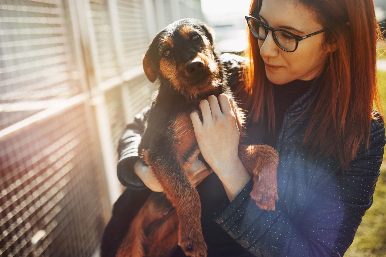 young woman in dog shelter