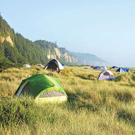  Gold Bluffs Beach