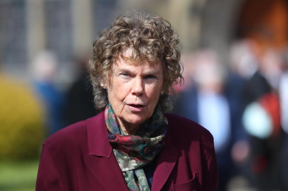 Former Labour MP Baroness Hoey raised the danger to UK security posed by the Channel crossings at Westminster (PA) (PA Archive)