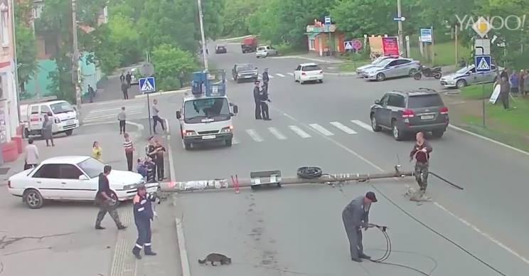 The cat can be seen attempting to play with the floored electricity cables