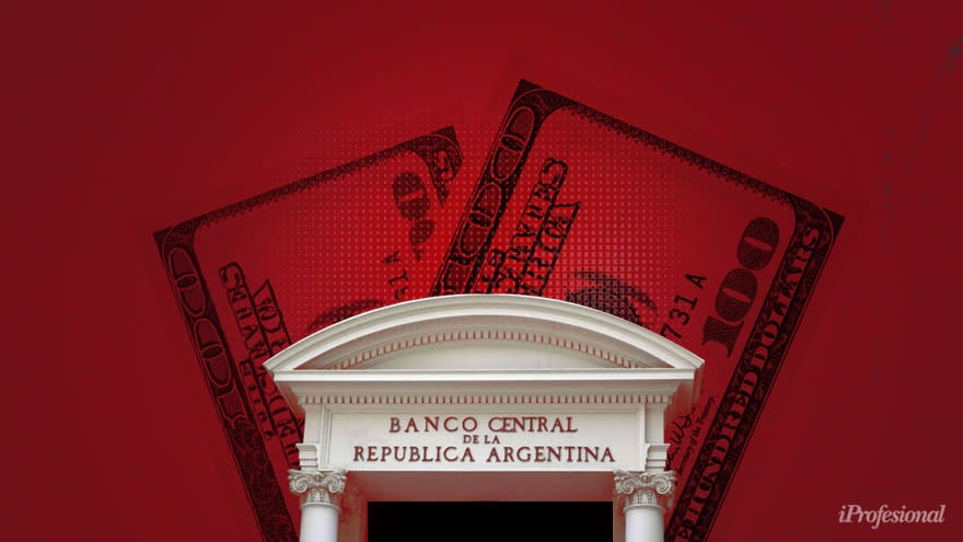 El BCRA será la entidad encargada de gestionar las políticas monetarias