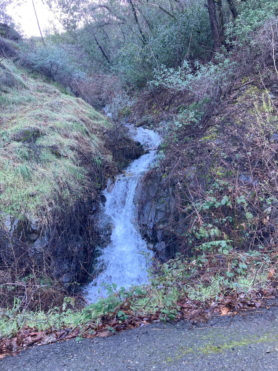 Water from weekend rains cascades down a hillside and eventually into Lake Shasta along the road above the Centimudi boat ramp on Monday, March 20, 2023.