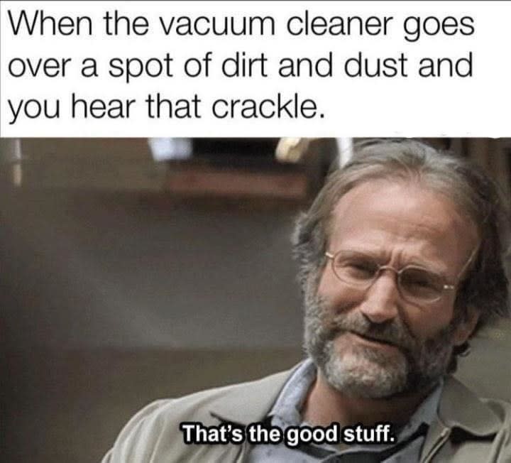 Meme that reads "When the vacuum cleaner goes over a spot of dirt and you hear that crackle" with Robin Williams saying "That's the good stuff"