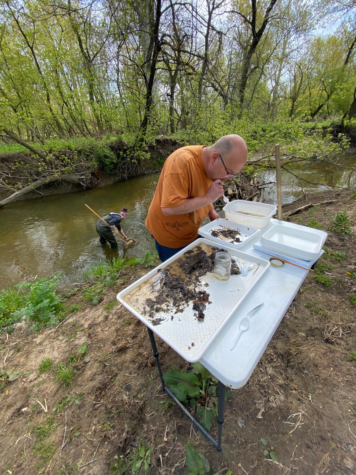 During Macroinvertebrate Monitoring, teams of naturalists use dip nets to collect insects for later identification, to help gauge the health of the ecosystem.