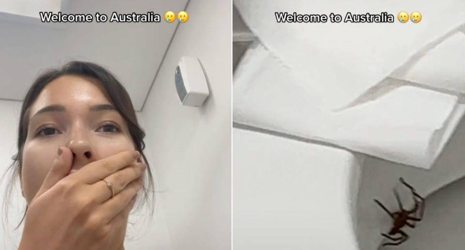 An Australian woman spotted a huge spider under the toilet seat. Source: TikTok/gabpizzato