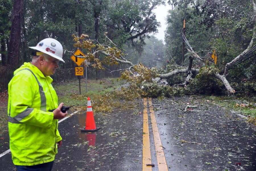 A City of Tallahassee electrical worker assesses damage to power lines after a tree fell on Old St. Augustine, a canopy road, in Tallahassee, Fla., as Hurricane Idalia made landfall Wednesday, Aug. 30, 2023. (AP Photo/Phil Sears)