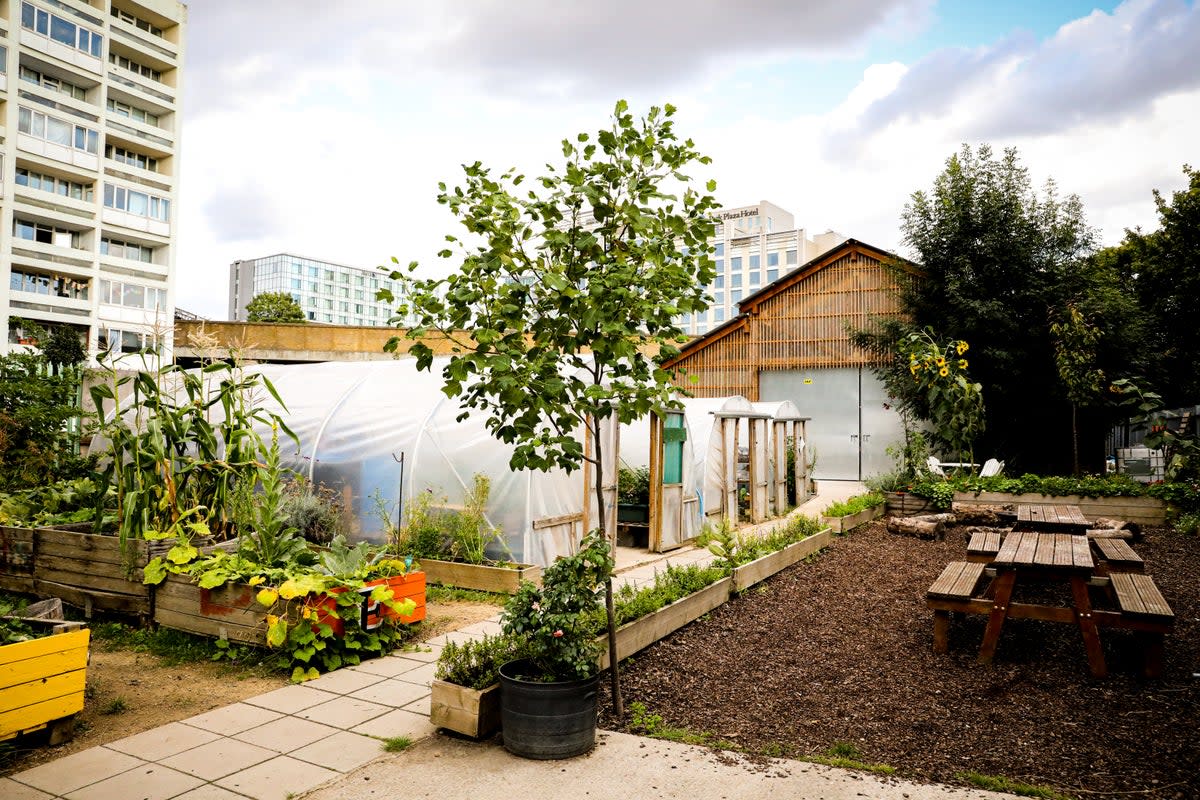 Farm manager Luke Rosier says: ‘The farm gives students a completely different space than what they are used to’  (Oasis Farm Waterloo)