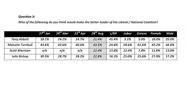 Reachtel poll. Photo: 7 News