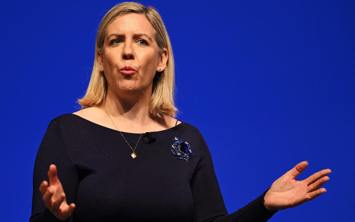 Dame Andrea Jenkyns, the former education minister