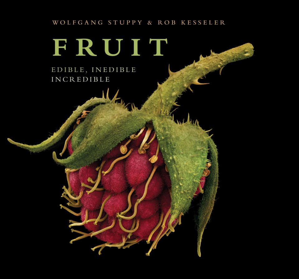 This book cover image released by Earth Aware Editions shows "Fruit: Edible, Inedible, Incredible," by Wolfgang Stuppy and Rob Kesseler. The holidays bring out the inner-coffee table book obsessive in gift buyers. They're easy, weighty and satisfying to give. (AP Photo/Earth Aware Editions)