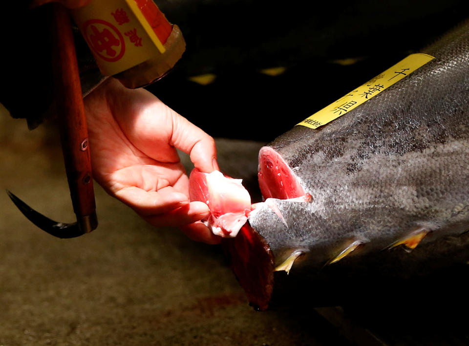 Bidding for tuna at Tsukiji