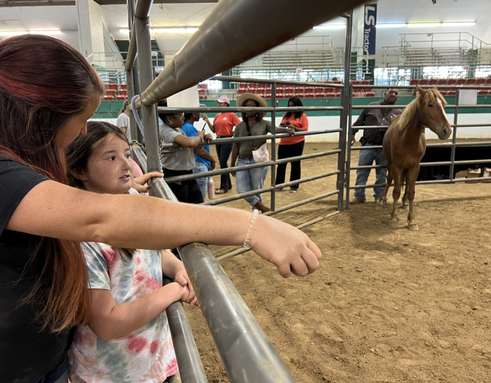 Rachel Weeks, from Graham, and her 8-year-old daughter, Charlie, were among the attendees at a “Wild Horse and Burro” adoption event in the Governor James B. Hunt, Jr. Horse Complex, west of downtown Raleigh, on Saturday, Aug. 19.