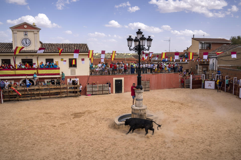 A bull chases a reveler during a running of the bull festival in the village of Atanzon, central Spain, Monday, Aug. 29, 2022. The deaths of eight people and the injury of hundreds more after being gored by bulls or calves have put Spain’s immensely popular town summer festivals under scrutiny by politicians and animal rights groups. There were no fatalities or injuries in Atanzon. (AP Photo/Bernat Armangue)