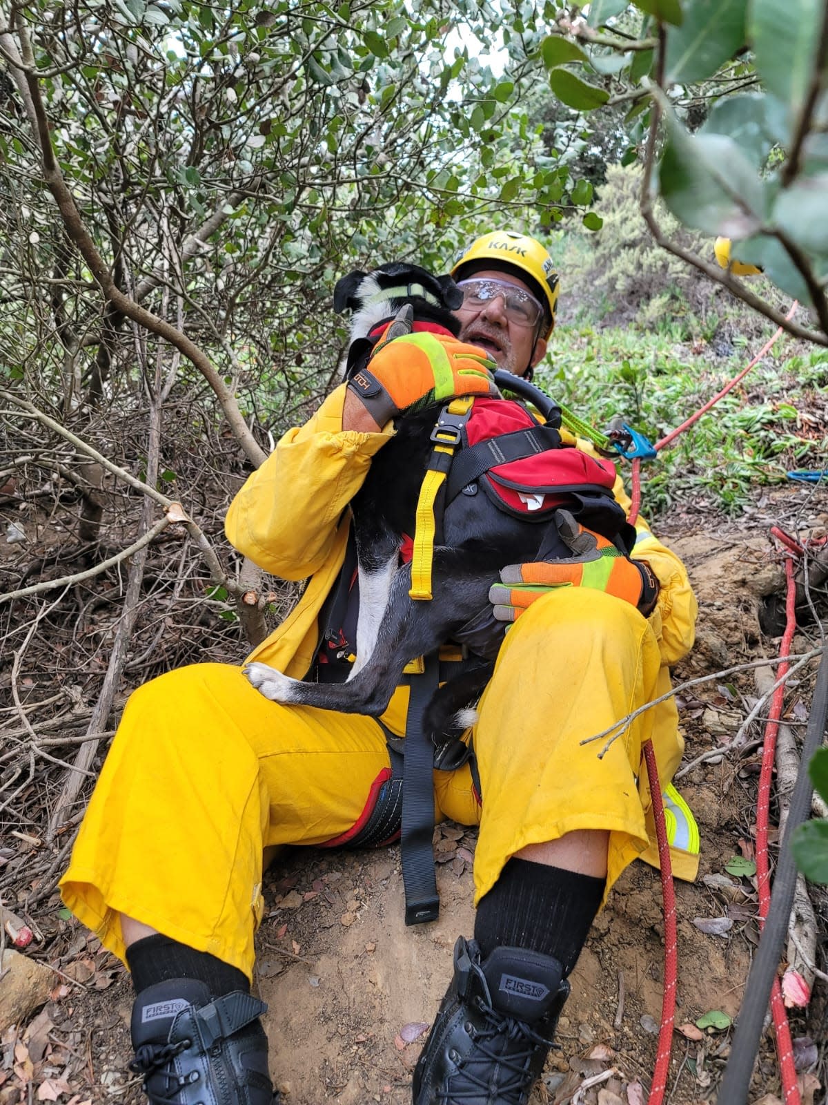 A rescue worker holds Hobo as he tries to return the dog to safety.