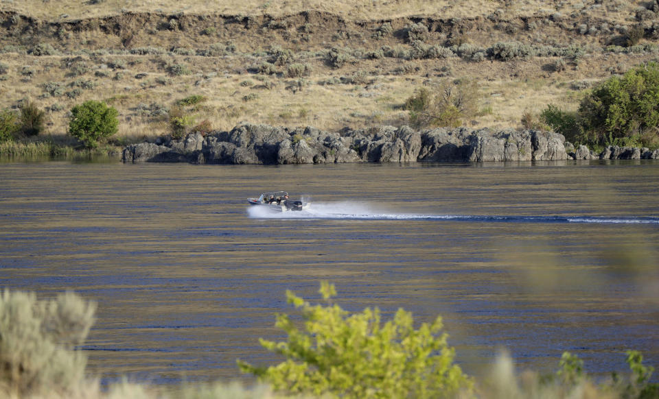 In this Wednesday, Aug. 14, 2019 photo, a boat motors along Columbia River near the Hanford Reach National Monument near Richland, Wash. A handful of sites where the United States manufactured and tested some of the most lethal weapons known to humankind are now peaceful havens for wildlife, where animals and habitats flourished on obsolete nuclear or chemical weapons complexes because the sites banned the public and most other intrusions for decades. But Hanford, where the cleanup has already cost at least $48 billion and hundreds of billions more are projected, may be the most troubled refuge of all. (AP Photo/Elaine Thompson)