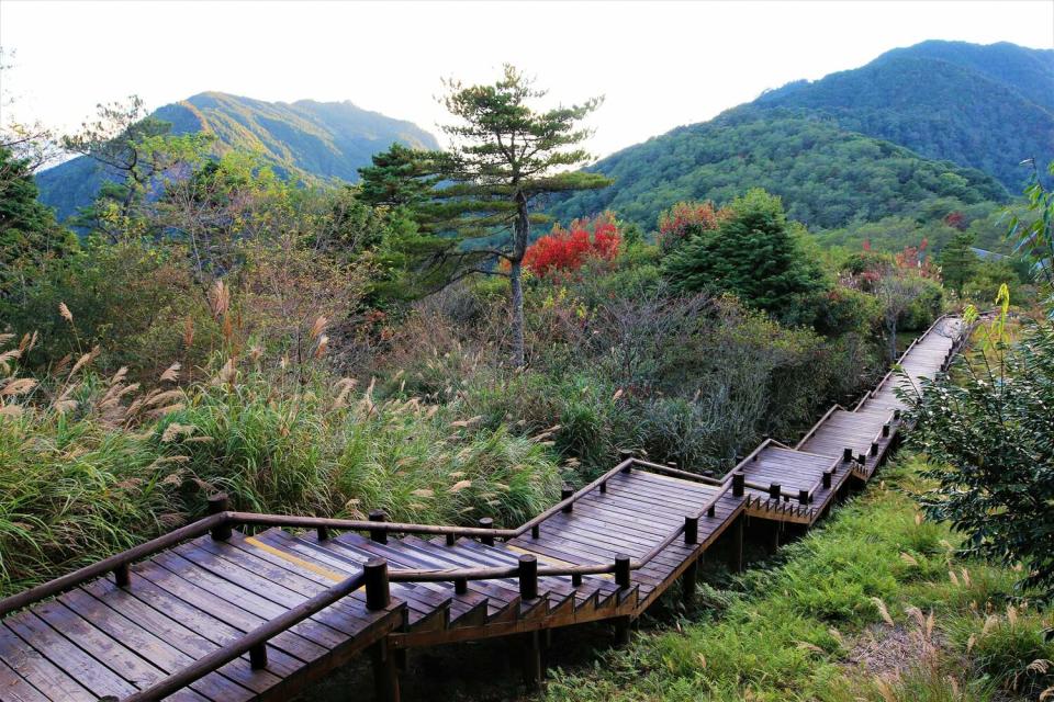 觀霧遊憩區內的雲霧步道、觀霧山椒魚生態中心（觀霧管理站）後方戶外平台將進行整建工程。   圖：翻攝自雪霸國家公園臉書