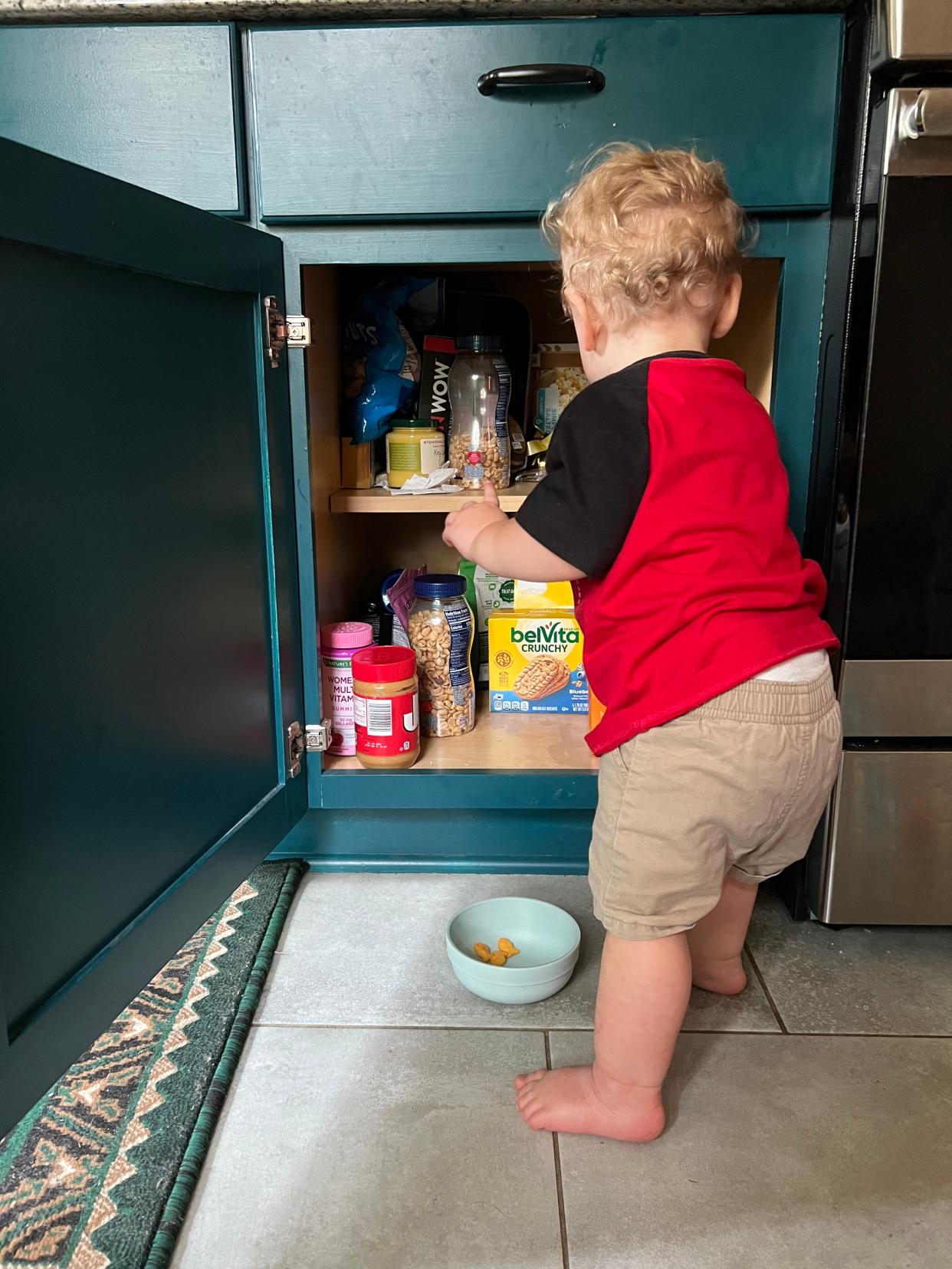 Henry, 16 months old, likes to play in cabinets.