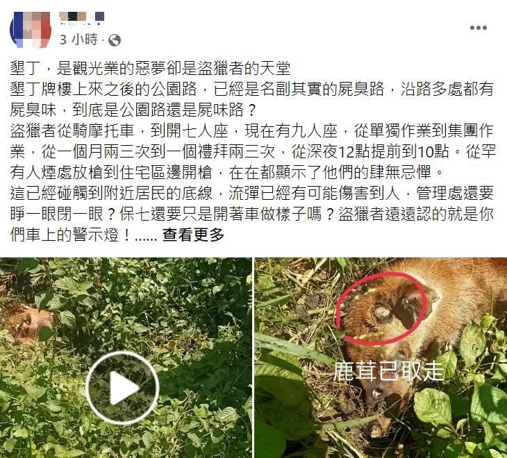 有民眾在臉書社團求助，墾丁盜獵者橫行，槍殺梅花鹿取鹿茸又任意棄屍。翻攝自愛墾丁_張麗絲臉書社團