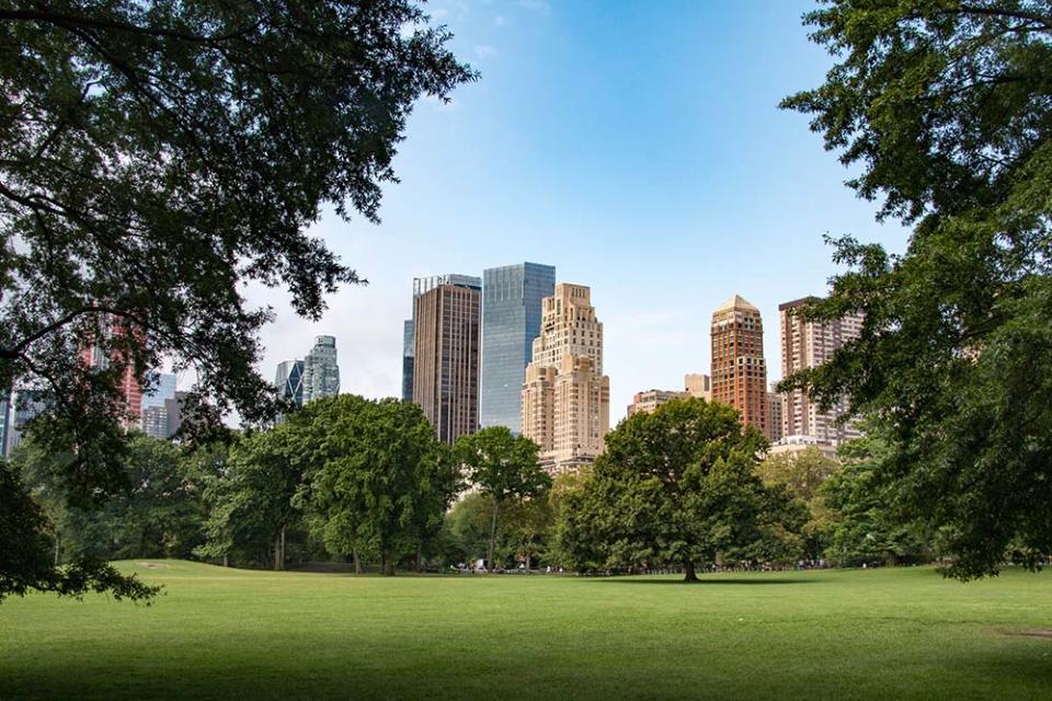 紐約中央公園（Image Source : Getty Creative/iStockphoto）