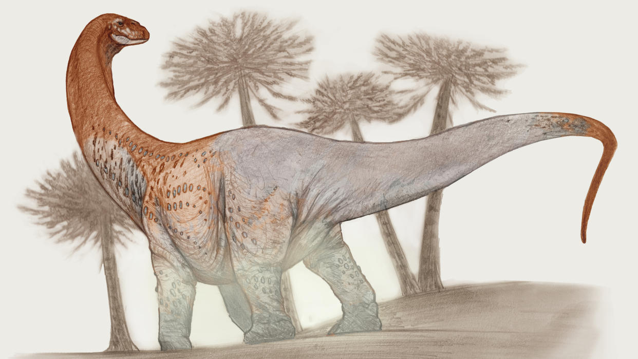  We see an illustration of a long-necked titanosaur dinosaur standing in front of four trees. The photo is gray and reddish. 