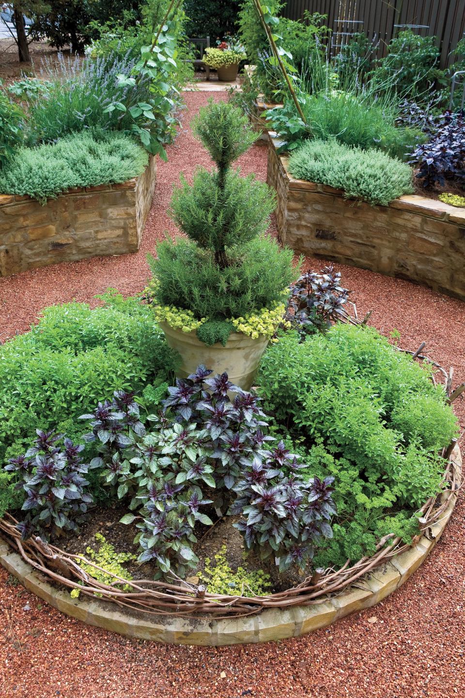 Rosemary Topiary