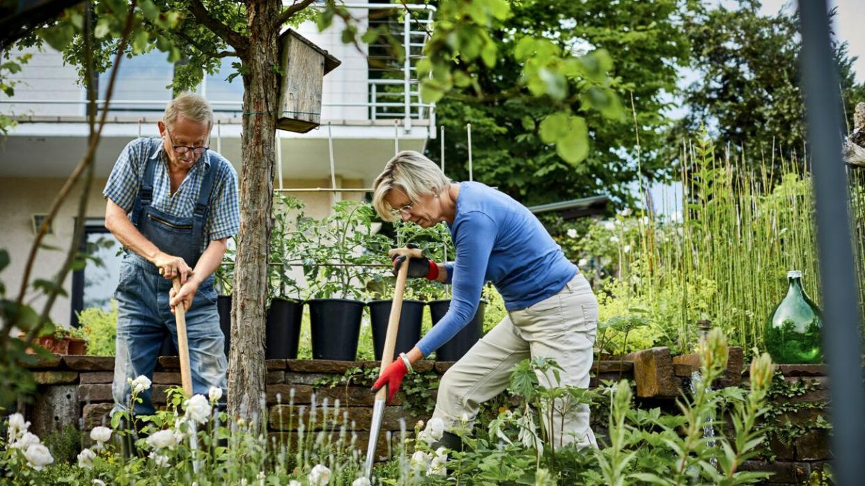 Older couple gardening.