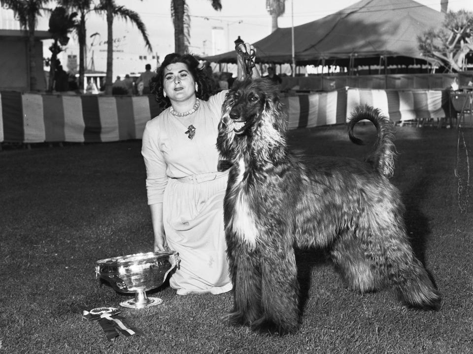 1957 Westminster Dog Show winner