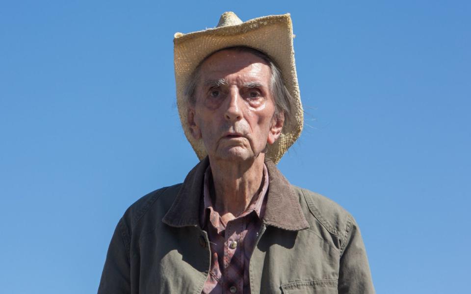 Harry Dean Stanton