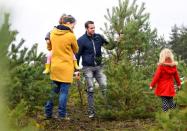 People saw their chosen Christmas tree to take home at The Dutch Hoge Veluwe National Park in Otterlo