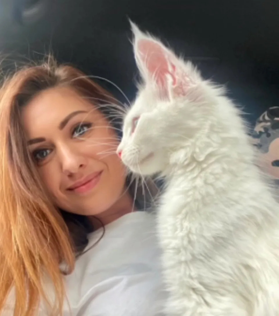 <p>La mujer lo encontró en un criadero de gatos y rápidamente se enamoró de su pelo blanco, motivo por el que lo llamó Kefir, un producto lácteo parecido al yogurt líquido típico de Bulgaria que se consume bastante en el este de Europa. (Foto: Instagram / <a href="http://www.instagram.com/p/CYvNnu2LcNM/" rel="nofollow noopener" target="_blank" data-ylk="slk:@yuliyamnn" class="link rapid-noclick-resp">@yuliyamnn</a>).</p> 