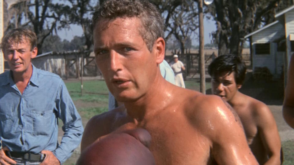 Cool Hand Luke